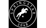 Springstar