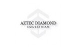 Aztec Diamond