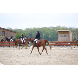 Morgane03