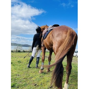 Vide sellerie de chacha