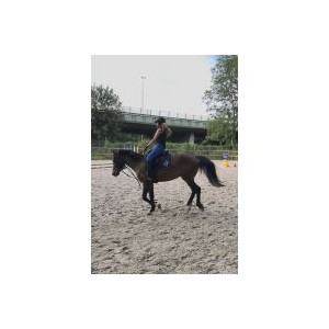 Pauline_F