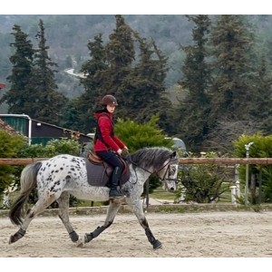 Boutique Romane