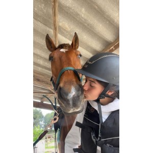 Cheval