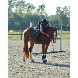Mon coin cavalier