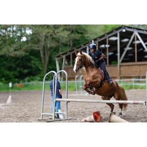 Le vide sellerie d'Adélie