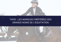 Tapis de selle : les marques préférées des grands noms de l’équitation