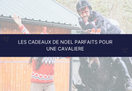 Les cadeaux de Noël parfaits pour une cavalière ! 🎄