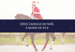 Idées cadeaux de Noël à moins de 50 € pour les cavaliers et cavalières