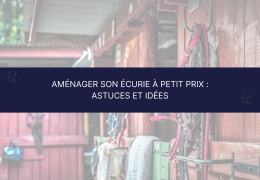 Aménager son écurie à petit prix : astuces et idées Aménager son écurie à petit prix : astuces et idées