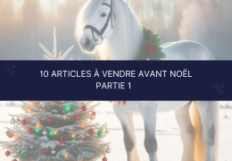 Les 10 articles d’équitation à vendre avant Noël pour gâter cavaliers et chevaux - Partie 1