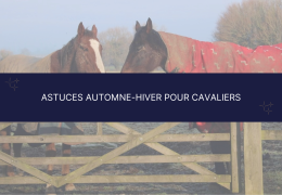 Astuces automne-hiver pour cavaliers : gérer la pluie et la boue