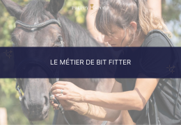 Le métier de Bit Fitter