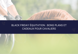 Black Friday équitation : bons plans et cadeaux pour cavaliers