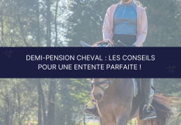 Demi-pension cheval : les conseils pour une entente parfaite !