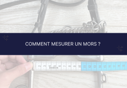 Comment mesurer un mors pour cheval (ou poney) ?
