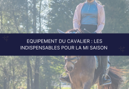 Équipement du cavalier : les indispensables pour la mi-saison