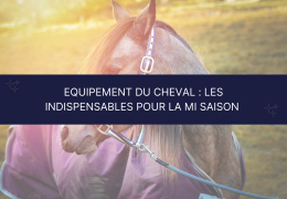 Le matériel indispensable pour votre cheval à la mi-saison