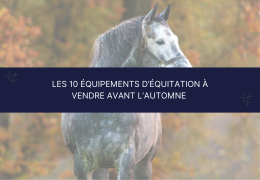Les 10 équipements d’équitation à vendre avant l’automne 🍂🐴