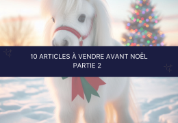 Les 10 articles d’équitation à vendre avant Noël pour gâter cavaliers et chevaux - Partie 2