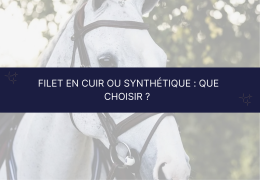 🐴 Filet en cuir ou synthétique : que choisir ?