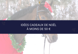 Idées cadeaux de Noël à moins de 50 € pour les cavaliers et cavalières