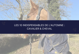 🍁 Les 10 indispensables de l'automne : cheval & cavalier