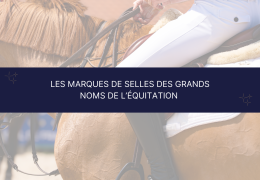 Les marques de selles des grands noms de l’équitation