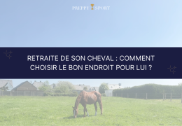 Retraite de son cheval : comment choisir le bon endroit pour lui ?