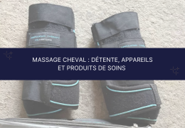 Massage cheval : détente, appareils et produits de soins
