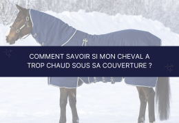 Comment savoir si mon cheval a trop chaud sous sa couverture ?