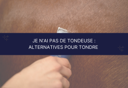 Je n’ai pas de tondeuse : quelles alternatives pour tondre mon cheval ?