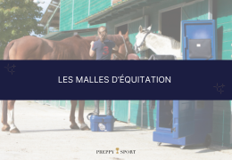 Malles d'équitation : L'accessoire indispensable pour un cavalier organisé