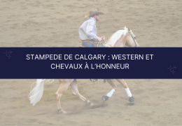 Stampede de Calgary : western et chevaux à l’honneur