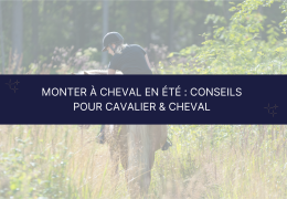 ☀️ Monter à cheval en été : conseils pour cavalier et cheval