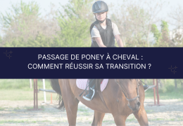 Passage de poney à cheval : comment réussir sa transition ?