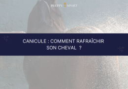 Canicule : comment rafraîchir son cheval pendant les fortes chaleurs ?