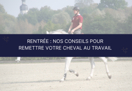 Rentrée : nos conseils pour remettre votre cheval au travail