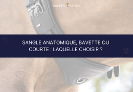 Sangle anatomique, bavette ou courte : laquelle choisir pour votre cheval ?