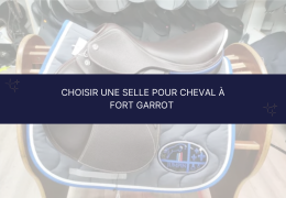Choisir une selle pour cheval à fort garrot : guide et modèles adaptés