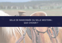 Selle de randonnée ou selle western : que choisir ?