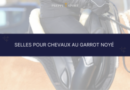Selles pour chevaux au garrot noyé : guide complet pour bien choisir