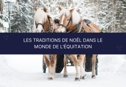 Les traditions de Noël dans le monde de l’équitation : Magie et festivités pour cavaliers et chevaux