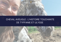 « Même aveugle, la vie continue » : l’histoire inspirante de Tyffanie et Ulysse